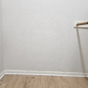 Cat Door Removal and Repair in Cedar Park